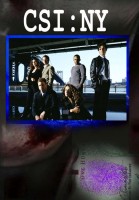 CSI: NY poster