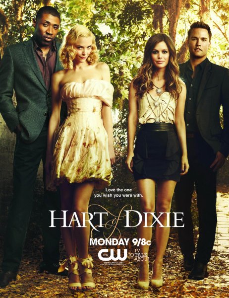 Hart Of Dixie poster