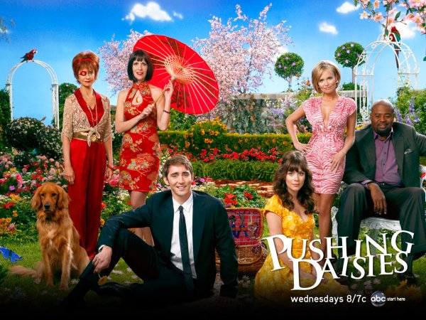 Pushing Daisies poster