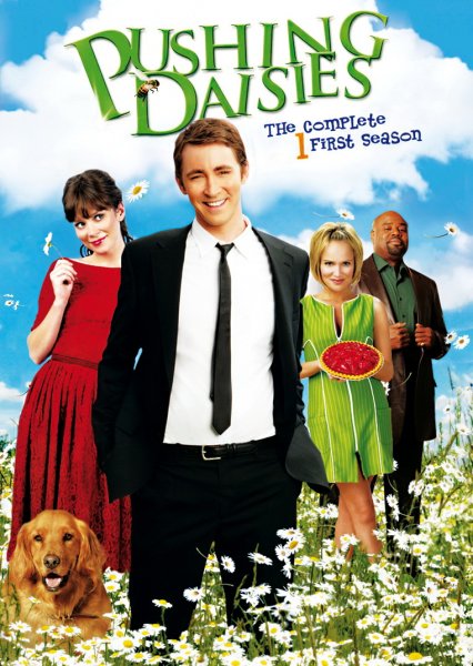 Pushing Daisies poster