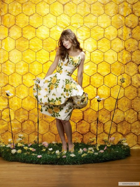 Pushing Daisies poster