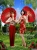 Pushing Daisies poster