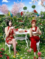 Pushing Daisies poster