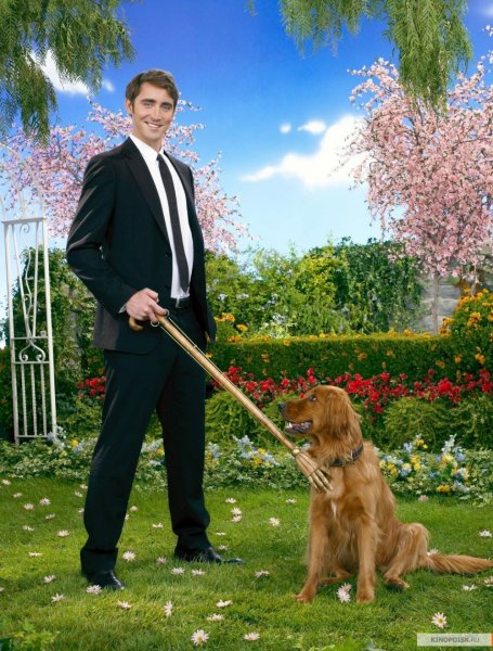 Pushing Daisies poster