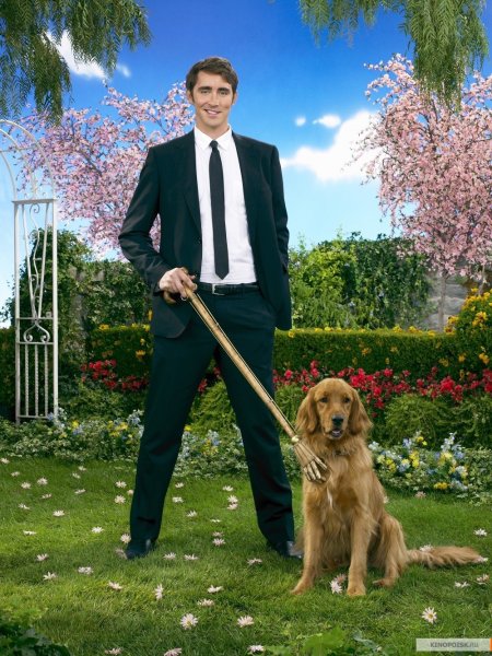 Pushing Daisies poster