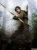 Robin Hood poster