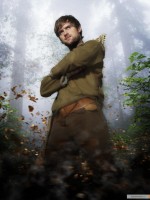 Robin Hood poster